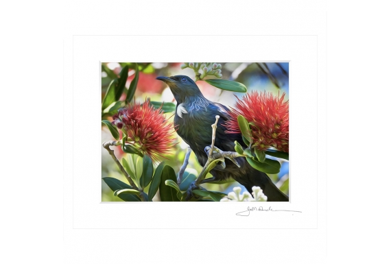 Fantail with Chicks: 6x8 Matted Print