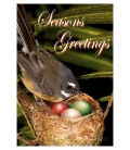 Fantail Mum with Chicks: Card