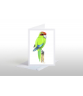 Kakariki, red-crowned parakeet: Card