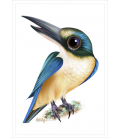 Kotare (Sacred Kingfisher): Card