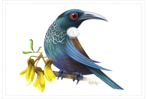 Tui with Kowhai flowers: Card