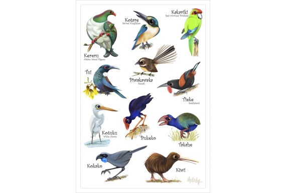 Love our Birds: Card