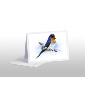 Welcome Swallow: Card