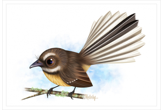 Piwakawaka, Fantail: Card