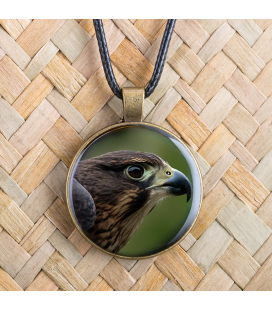 NZ Falcon (Karearea): Pendant 