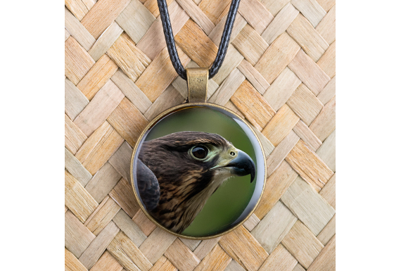 NZ Falcon (Karearea): Pendant 