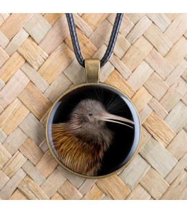 Kiwi: Pendant 