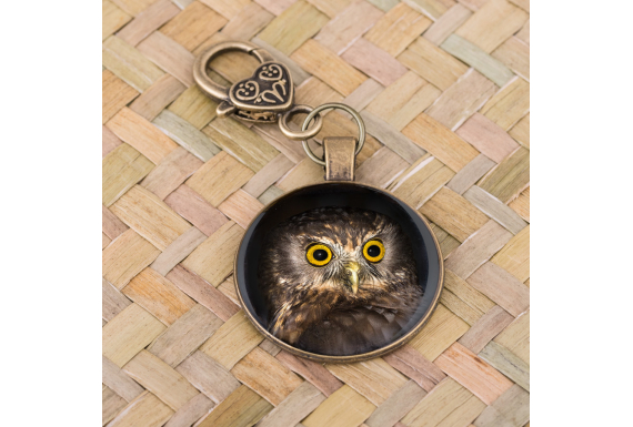 Morepork (Ruru): Personal Charm