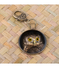 Morepork (Ruru): Personal Charm