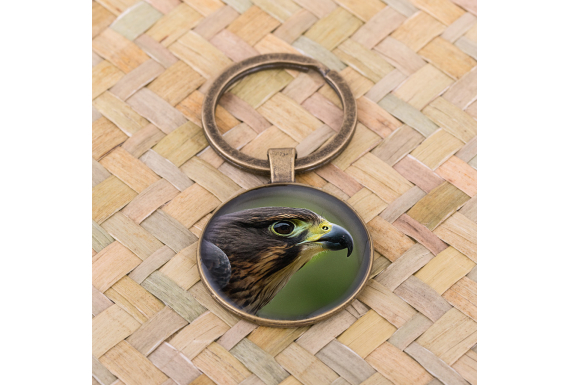 Falcon Keyring