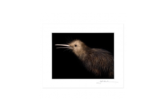 Little Brown Kiwi: 6x8 Matted Print