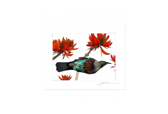 Tui in Flame Tree: 6x8 Matted Print