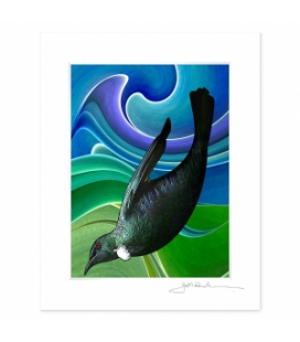 NZ Iconography, Tui in Flight: 6x8 Matted Print