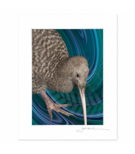 NZ Iconography, Great Spotted Kiwi: 6x8 Matted Print